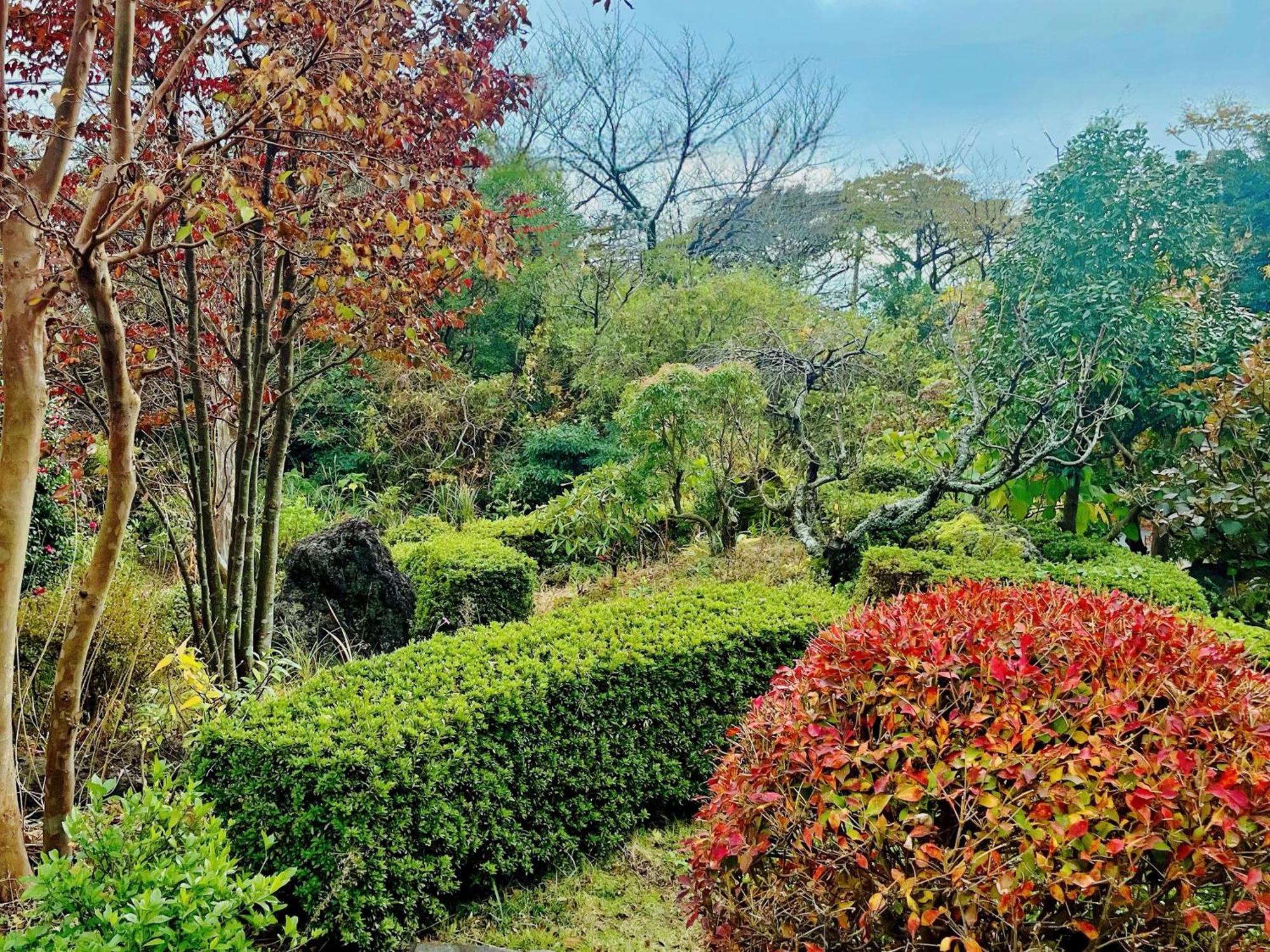 貸別荘花摘里　伊豆高原 Futo Luaran gambar